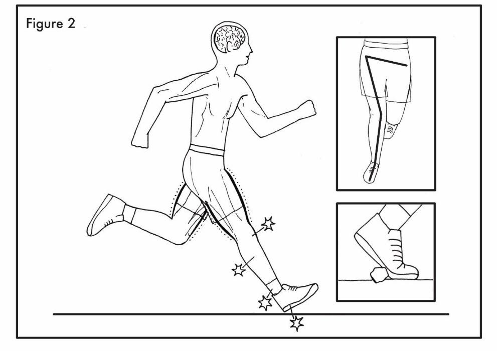 Footwear leads to more blunt running mechanisms. (Peter Francis)