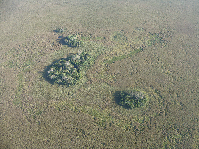 forest islands from above body image