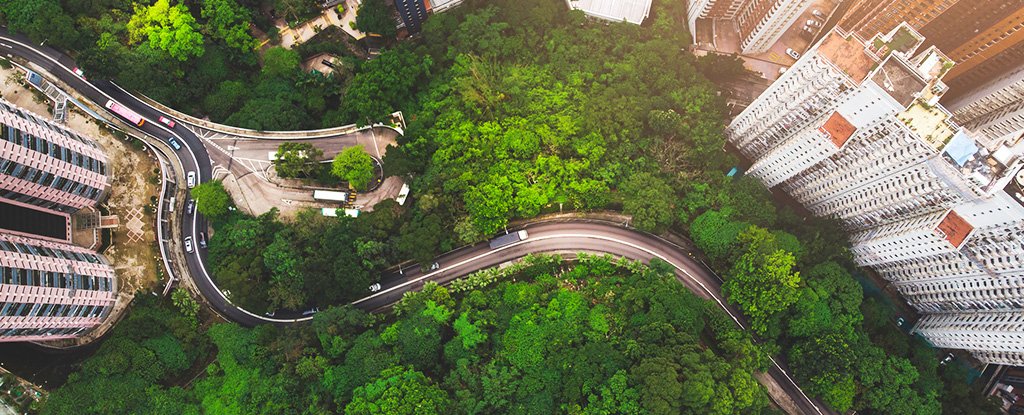 trees_in_the_city_concept_getty_1024