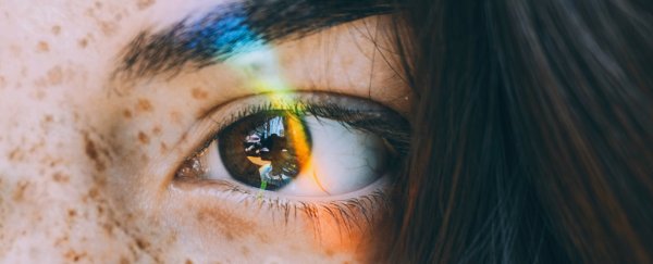 Every single heartbeat affects our perception of the world, researchers find