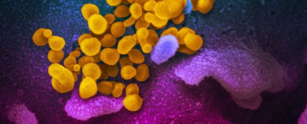 At least 70 coronavirus vaccines are already in development, WHO report shows