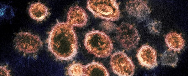 Scientists still don't know if recovering from COVID-19 confers immunity or not