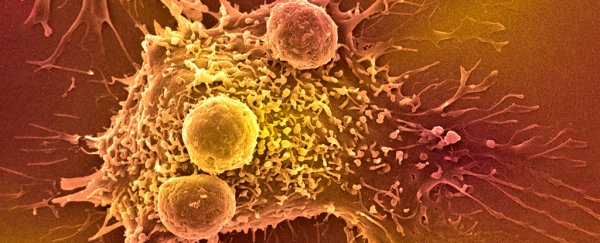 New AI-powered blood test promises easy screening for over 50 types of cancer