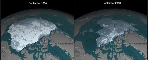 Devastating simulations say sea ice will be completely gone in Arctic summers by 2050