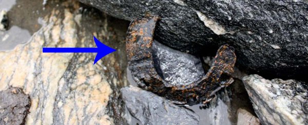 Melting ice has revealed artefacts from a lost Viking highway in Norway