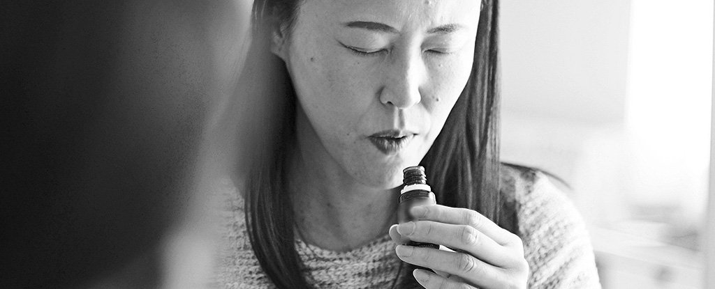 ld cigarettes online Japan Tobacco Bringing Low-Priced Cigarette Brand to U.S