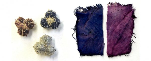 Scientists discover a new compound in Medieval ink that was once lost to time
