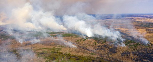 Fires in Chernobyl exclusion zone are still getting closer to the reactor