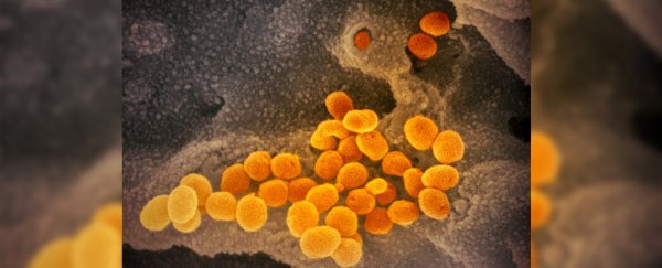 Scientists are using the measles vaccine to develop a 'Trojan horse' against COVID-19