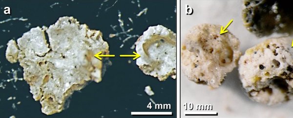 Glass in the soil of a 13,000-year-old settlement in Syria points to comet impact