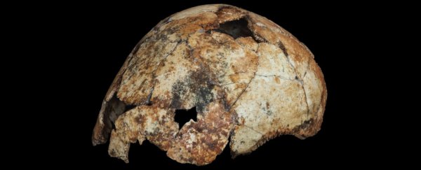 Incredible fossil find hints Homo erectus emerged 200,000 years earlier than thought
