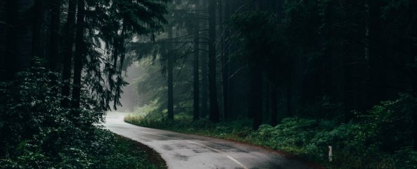 Love the smell of rain? There's an ulterior motive behind the lure of petrichor
