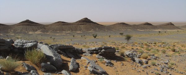 Palaeontologists think they have found 'the most dangerous place' in Earth's history