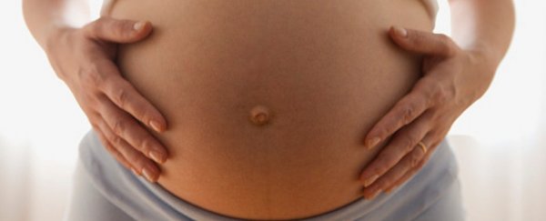 A key pregnancy hormone seems to act differently in humans, and not in a good way