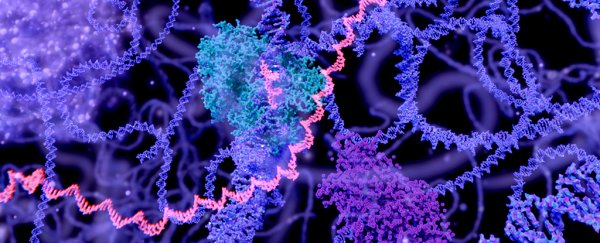 What is the RNA World Hypothesis?