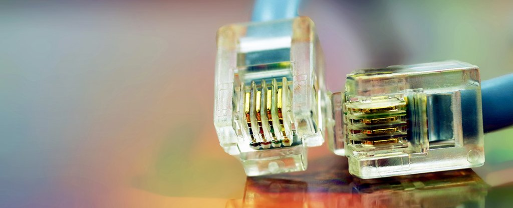 speedy-data_1024.jpg