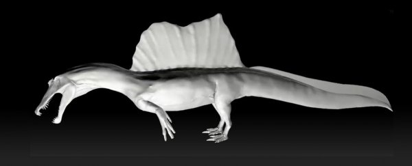 Groundbreaking Spinosaurus discovery just made it the first known swimming dinosaur