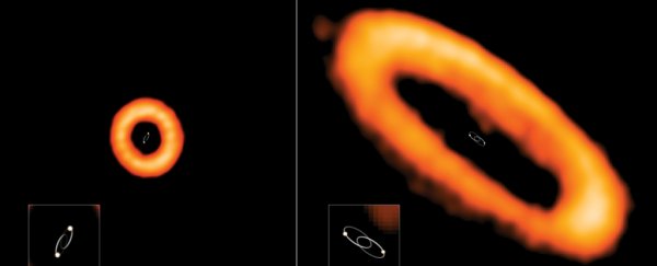 Bizarre exoplanets orbiting binary stars may have strangely misaligned orbits