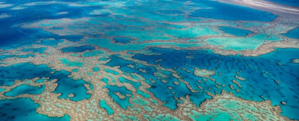 Tropical oceans headed for collapse within the next 10 years, major study reveals