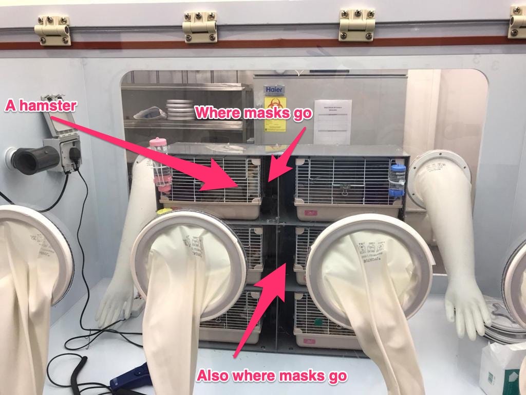 Hamster cages in an experiment setup