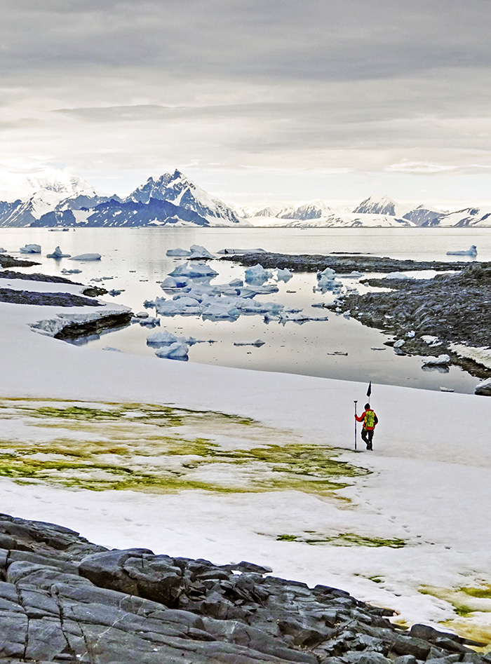 algal blooms antarctic coast afp