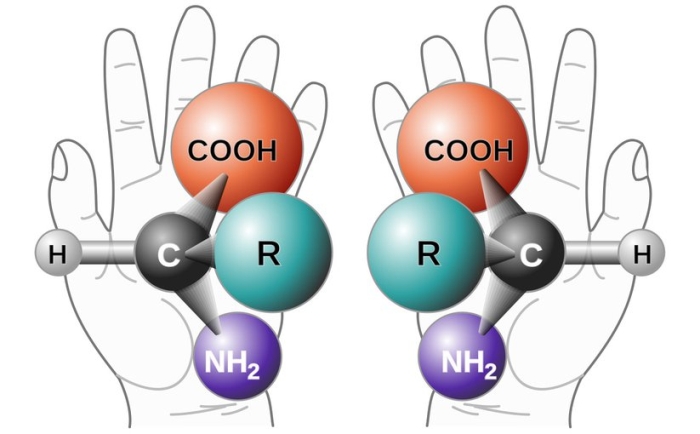 chiral amino