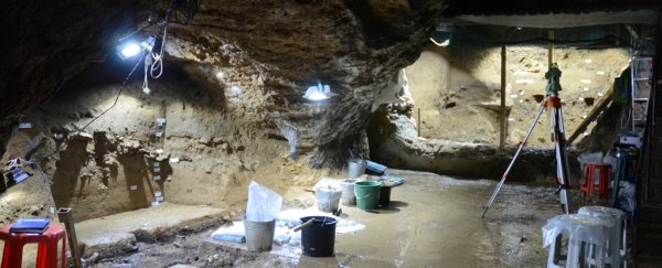Ancient bones found in Bulgarian cave are oldest evidence of modern humans in Europe