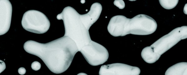 Scientists have developed a membrane that separates CO2 from other gases