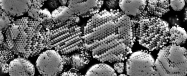 We just found traces of the Solar System's oldest fluid in meteorite shards