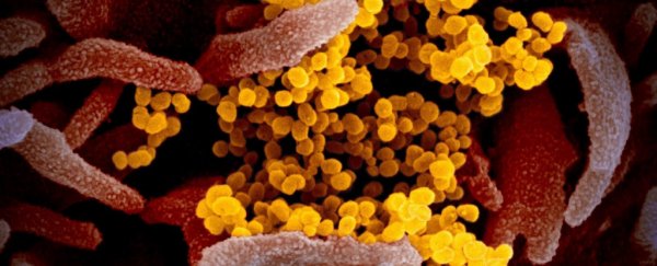 Studies have found new mutations in the coronavirus. Here's what that means