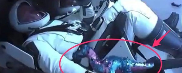 There was a special, extra payload onboard SpaceX's historic launch yesterday