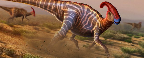 We still have no idea how male and female dinosaurs differ, study shows