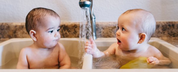 Not all twins are identical, and we might finally understand the evolution behind it