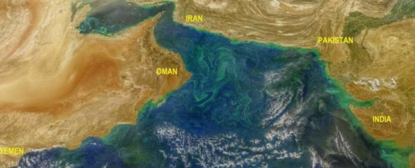 There's a surprising connection between dangerous algal blooms and the Himalayas