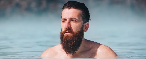 Wild study suggests human beards evolved to absorb punches to the head
