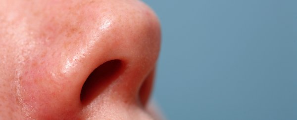 Your nose has its own microbiome, and it might be possible to change it, study shows