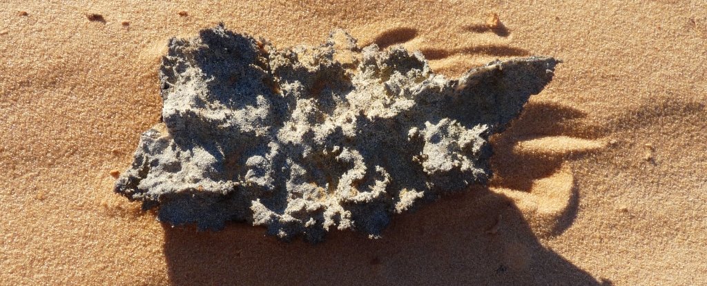 Fulgurite found in the Mauritanian desert. 