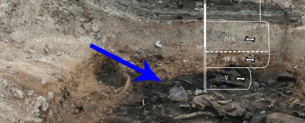 Tar pit discovery shows ancient giant sloths may have died from their own poop