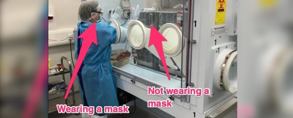 That widely shared study about hamsters doesn't actually have them wearing masks