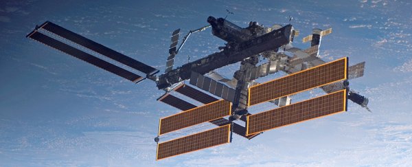 Living on the Space Station leaves a microbial 'fingerprint' on astronauts