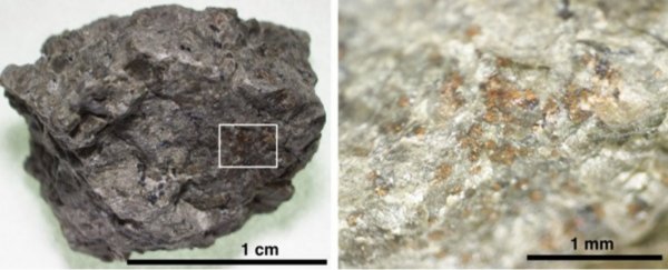 Scientists have discovered fixed nitrogen in a Martian meteorite for the first time