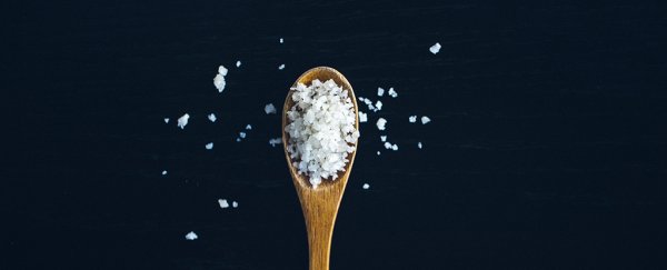 Salt on wooden spoon
