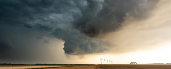 A shocking amount of pollen stays in the air after spring rain