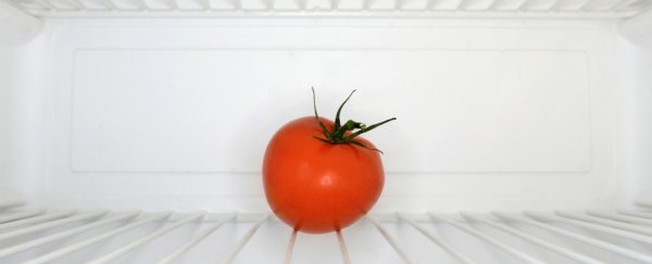 A new study may have just changed the advice on storing tomatoes in the fridge