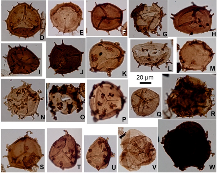 Earth’s Most Mysterious Mass Extinction May Have Had an Ozone Depletion Component