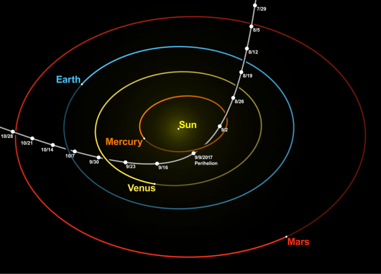 Oumuamua's hyperbolic trajectory through our Solar System. (Tomruen/JPL Horizons/nagualdesign/CC BY-SA 4.0)