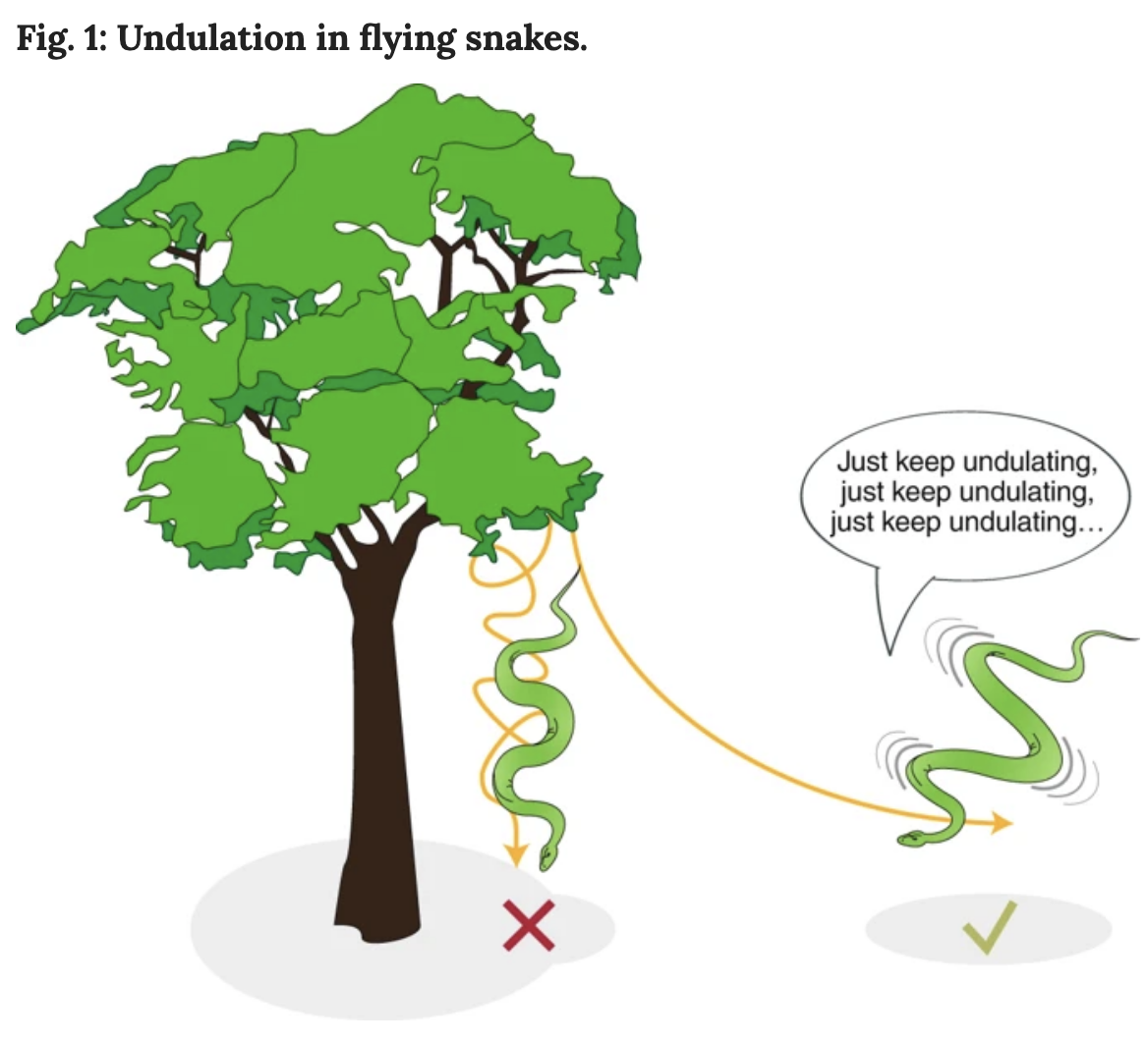 diagramofundulation