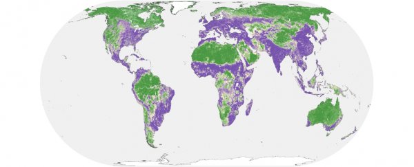 Half of Earth's land can still be saved from human damage, study reveals