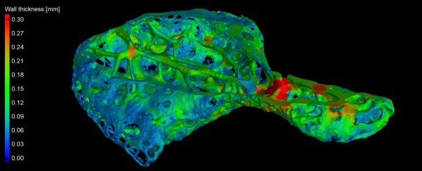 A mysterious bone discovered in the hearts of some chimpanzees raises big questions