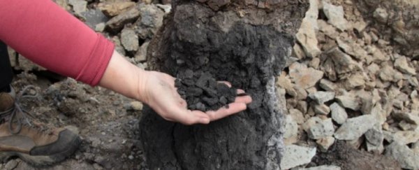 Massive coal burning linked to 'Great Dying': the worst extinction in Earth's history